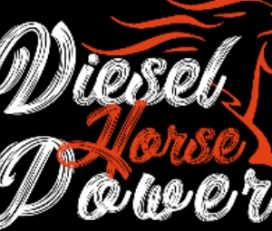 DHP Auto Parts LLC at 312 W 2nd St #1094, Casper, WY 82601